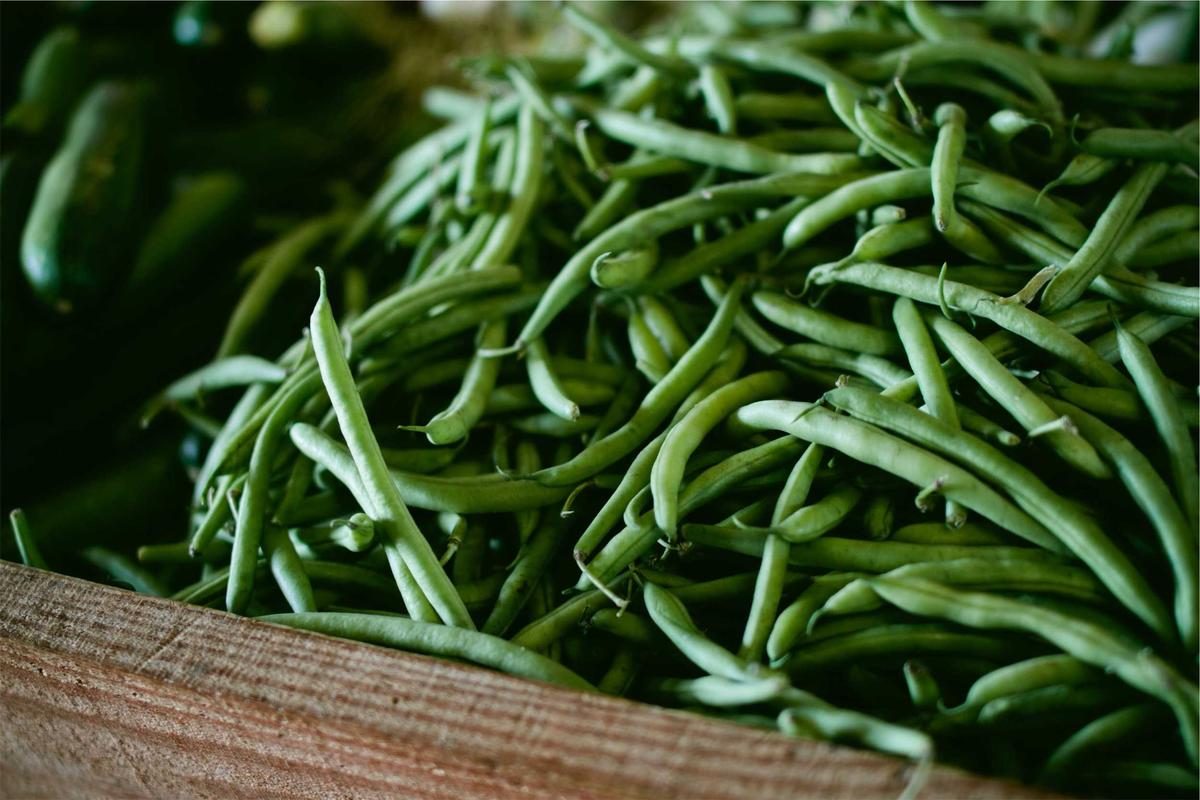HƯỚNG DẪN DU LỊCH